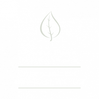 IFN Best Asset Manager 2017