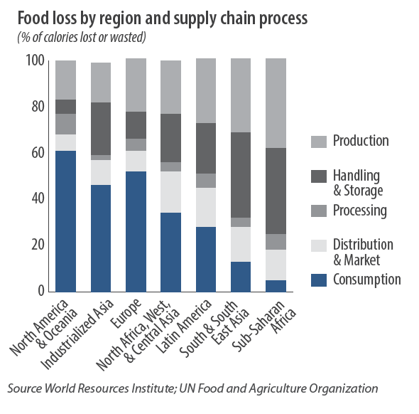 Food loss by region and supply chain process